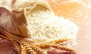 Conheça os produtos