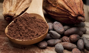 Conheça os produtos