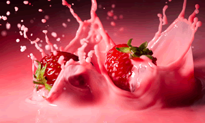 Conheça os produtos