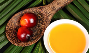 Conheça os produtos